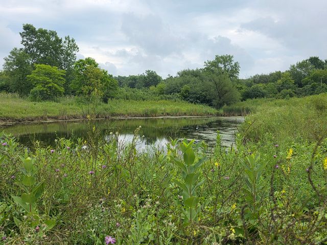 37097 BELLE PLAINE Avenue, Beach Park, IL 60087