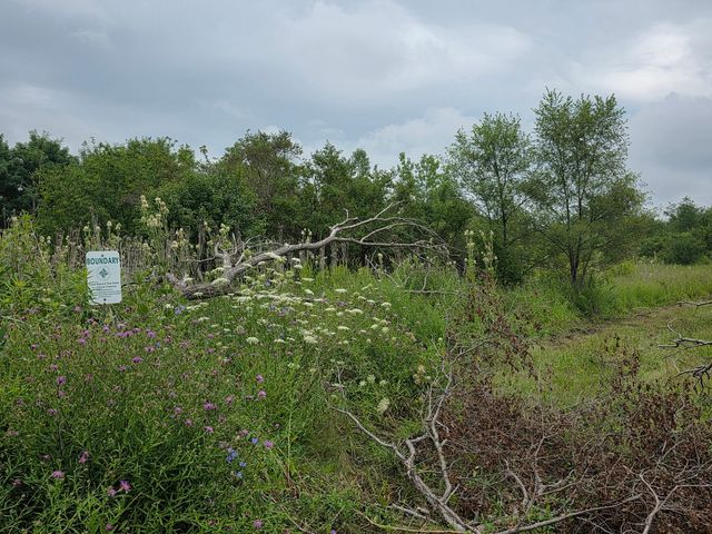 37097 BELLE PLAINE Avenue, Beach Park, IL 60087