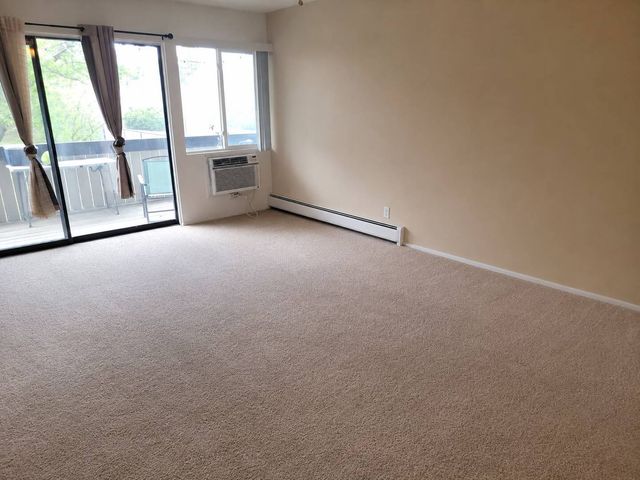 1810 Hemlock Place 204, Schaumburg, IL 60173