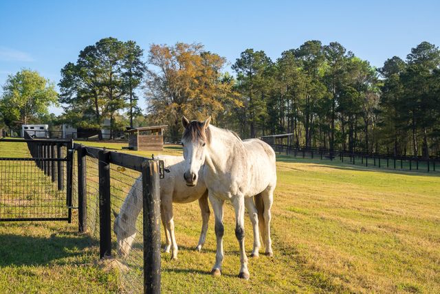 708 New Bridge Road, Aiken, SC 29805