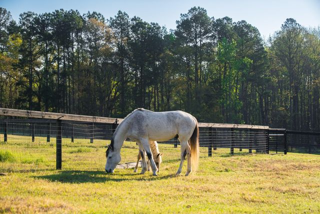 708 New Bridge Road, Aiken, SC 29805