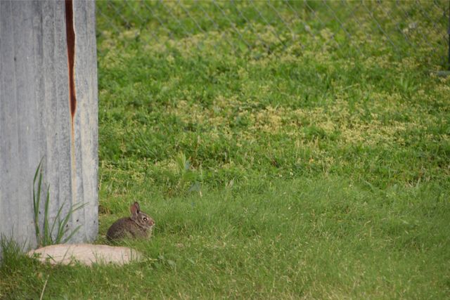 312 E Tripp Road, Sunnyvale, TX 75182