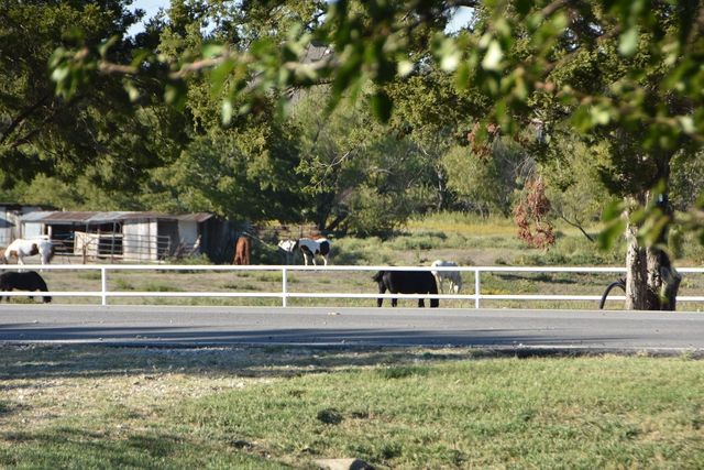 312 E Tripp Road, Sunnyvale, TX 75182