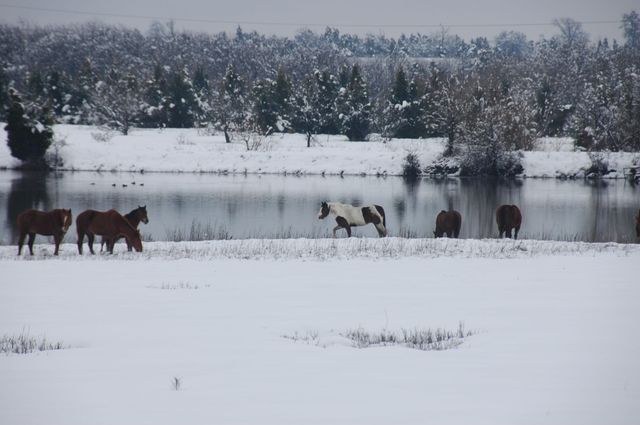 312 E Tripp Road, Sunnyvale, TX 75182