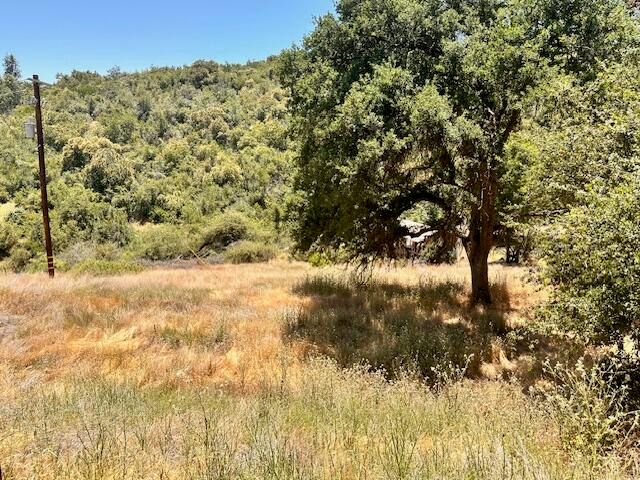 45911 Orchard Drive, Miramonte, CA 93641