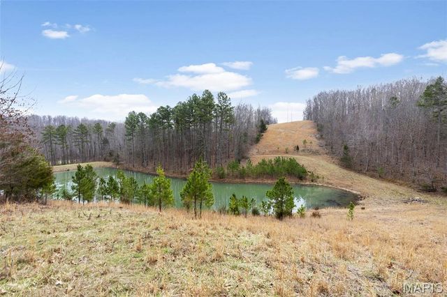 1334 Wayne 366, Piedmont, MO 63957