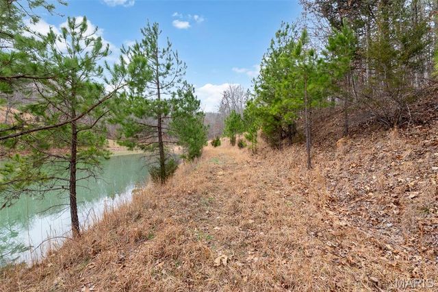 1334 Wayne 366, Piedmont, MO 63957