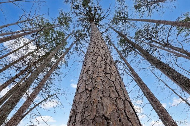 1334 Wayne 366, Piedmont, MO 63957