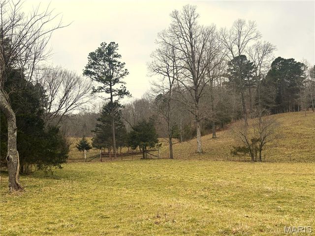 1334 Wayne 366, Piedmont, MO 63957