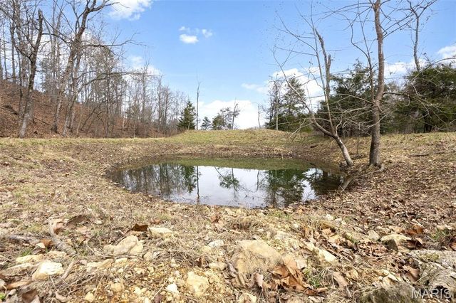 1334 Wayne 366, Piedmont, MO 63957