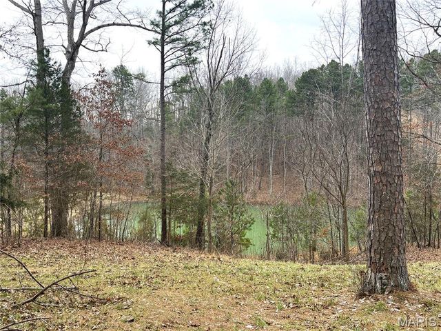 1334 Wayne 366, Piedmont, MO 63957