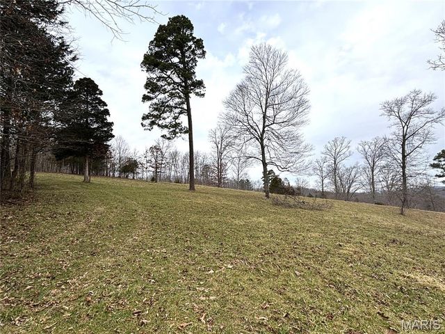 1334 Wayne 366, Piedmont, MO 63957