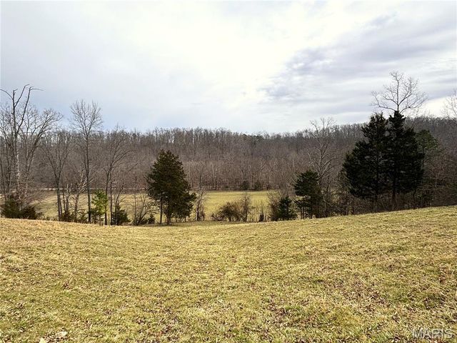 1334 Wayne 366, Piedmont, MO 63957