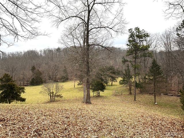 1334 Wayne 366, Piedmont, MO 63957