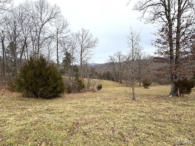 1334 Wayne 366, Piedmont, MO 63957