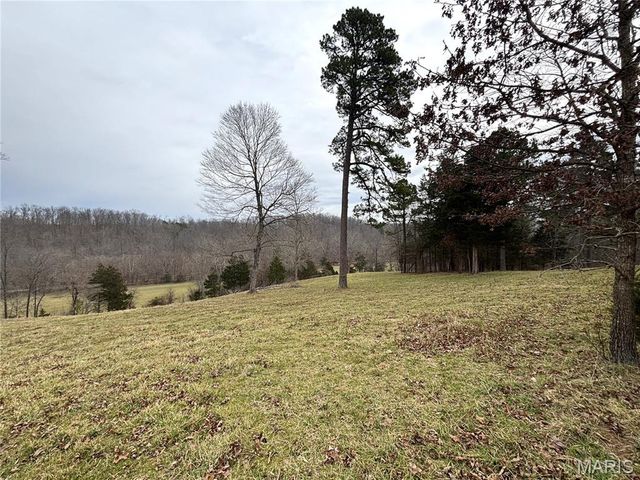 1334 Wayne 366, Piedmont, MO 63957