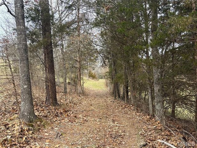 1334 Wayne 366, Piedmont, MO 63957