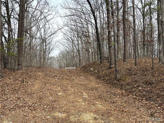 1334 Wayne 366, Piedmont, MO 63957