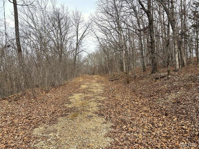 1334 Wayne 366, Piedmont, MO 63957