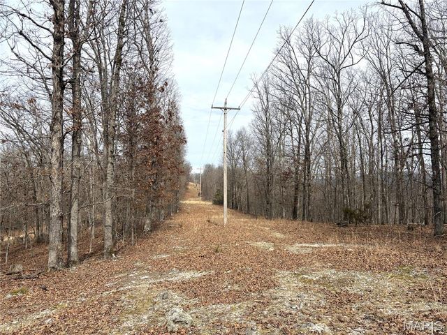 1334 Wayne 366, Piedmont, MO 63957