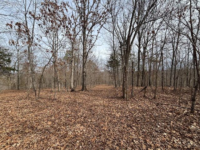 1334 Wayne 366, Piedmont, MO 63957