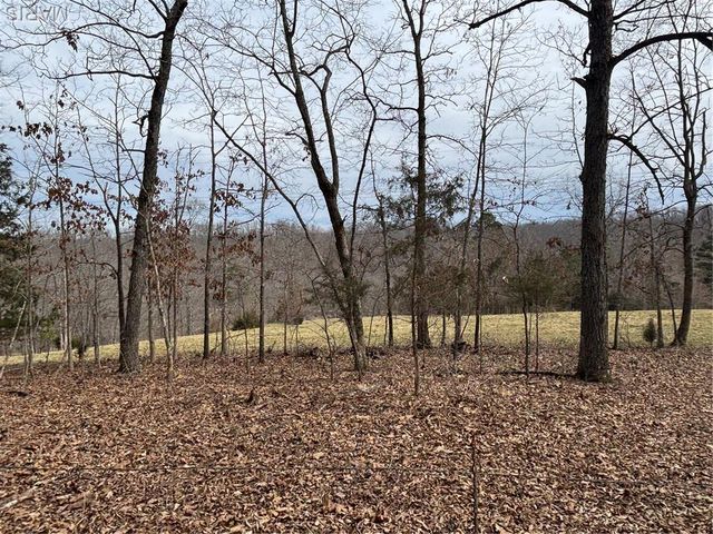 1334 Wayne 366, Piedmont, MO 63957