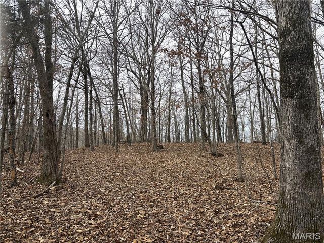 1334 Wayne 366, Piedmont, MO 63957