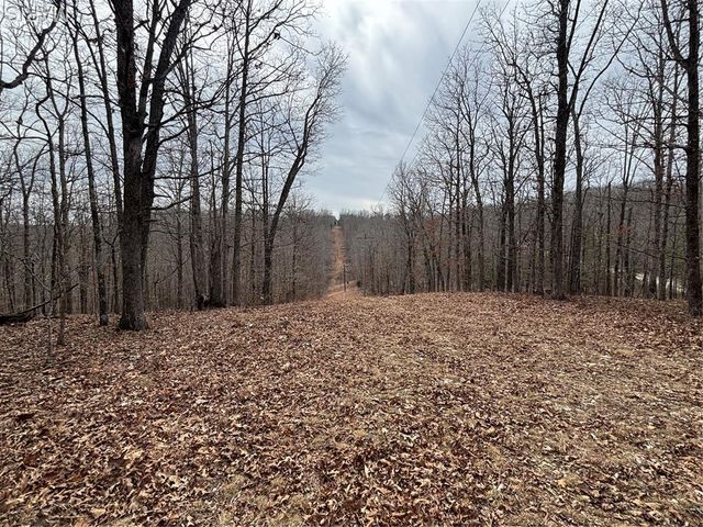 1334 Wayne 366, Piedmont, MO 63957