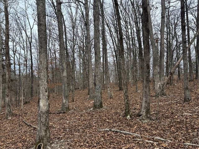 1334 Wayne 366, Piedmont, MO 63957