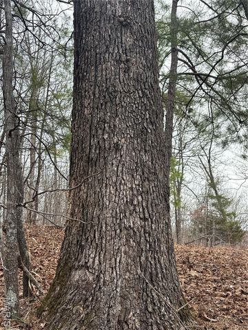 1334 Wayne 366, Piedmont, MO 63957