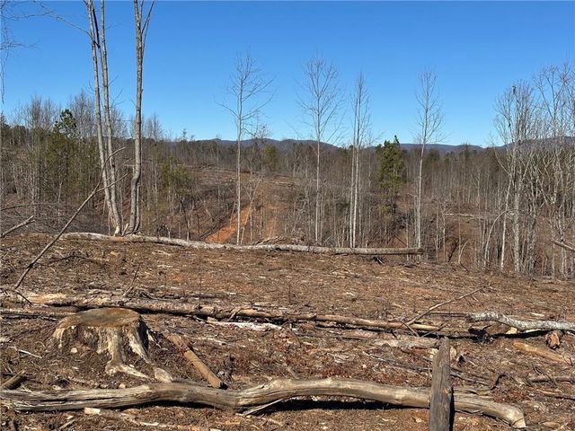 475 Larmon Forks Rd, Dahlonega, GA 30533