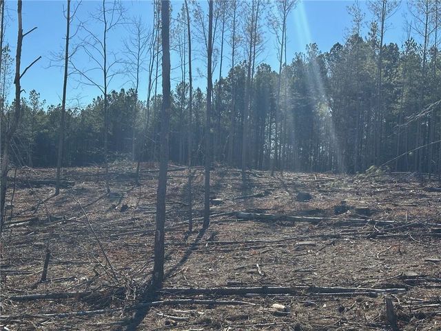 475 Larmon Forks Rd, Dahlonega, GA 30533