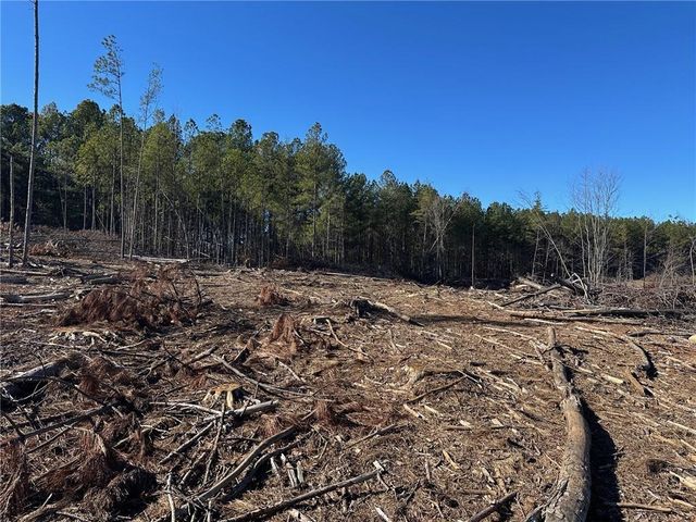 475 Larmon Forks Rd, Dahlonega, GA 30533