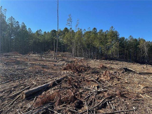 475 Larmon Forks Rd, Dahlonega, GA 30533