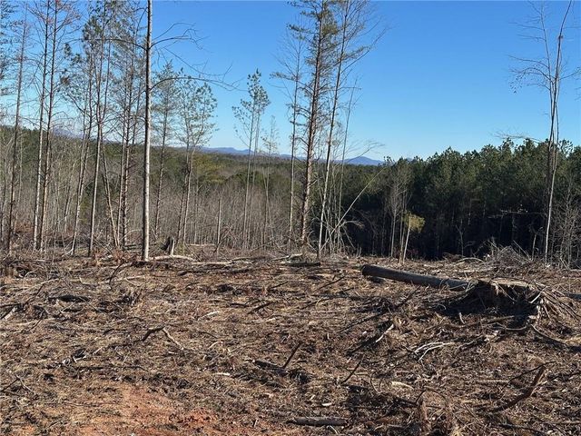 475 Larmon Forks Rd, Dahlonega, GA 30533