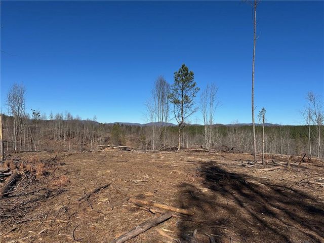 475 Larmon Forks Rd, Dahlonega, GA 30533