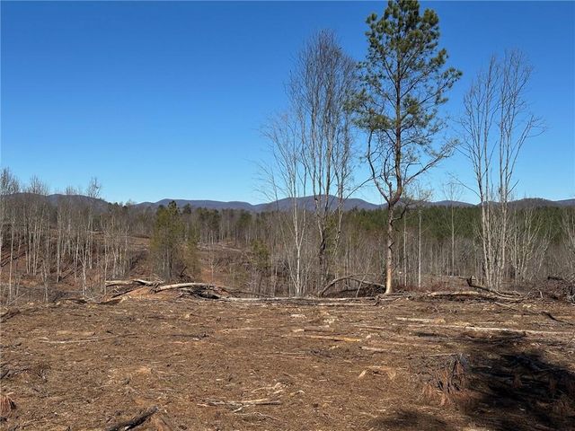 475 Larmon Forks Rd, Dahlonega, GA 30533