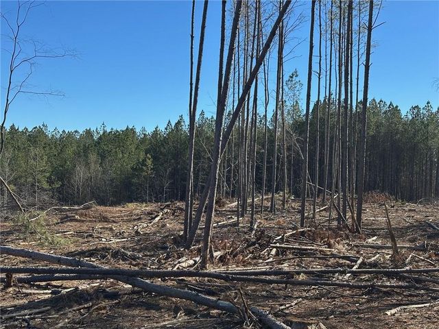 475 Larmon Forks Rd, Dahlonega, GA 30533