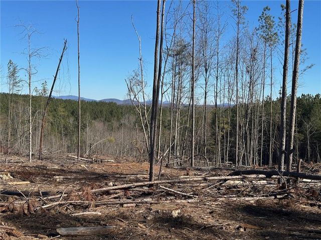 475 Larmon Forks Rd, Dahlonega, GA 30533