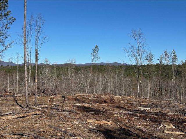 475 Larmon Forks Rd, Dahlonega, GA 30533