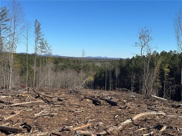 475 Larmon Forks Rd, Dahlonega, GA 30533