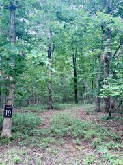 0 Deep Woods Road, Sewanee, TN 37375