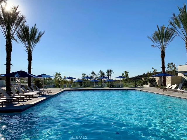 65 Buttonquail, Irvine, CA 92618