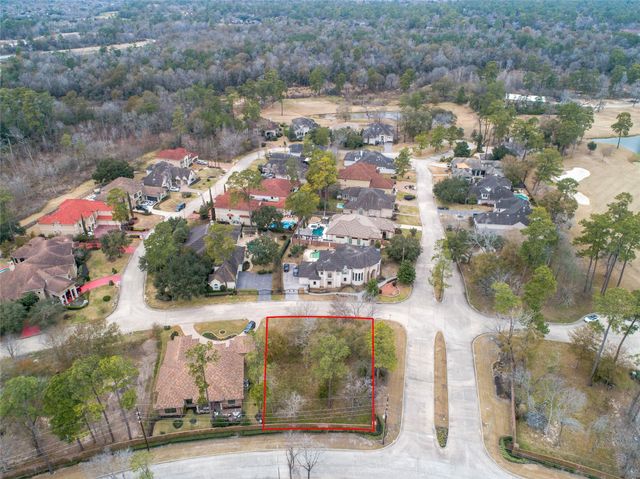 3003 Green Vista, Houston, TX 77068