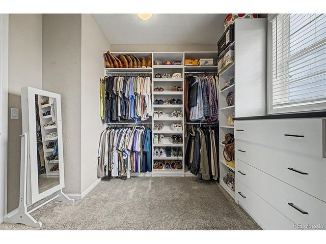 914 Flora View Dr, Erie, CO 80516