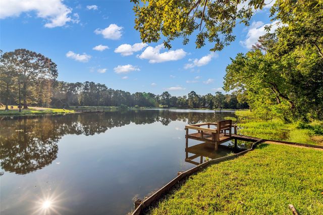 119 Memory Lane, Livingston, TX 77351