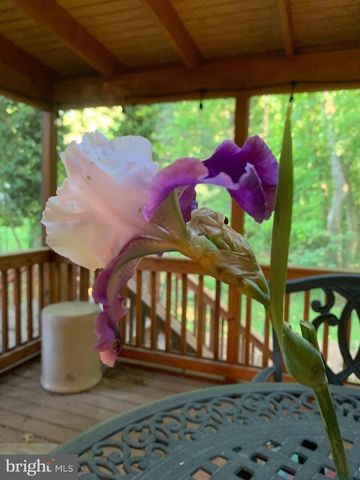 2904 ROCK MANOR CT, Herndon, VA 20171