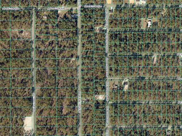 1110 NW REDWOOD DRIVE, Dunnellon, FL 34431