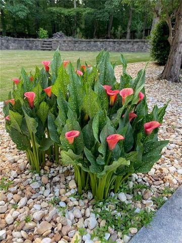 1460 Uncle Ben Drive, Powder Springs, GA 30127