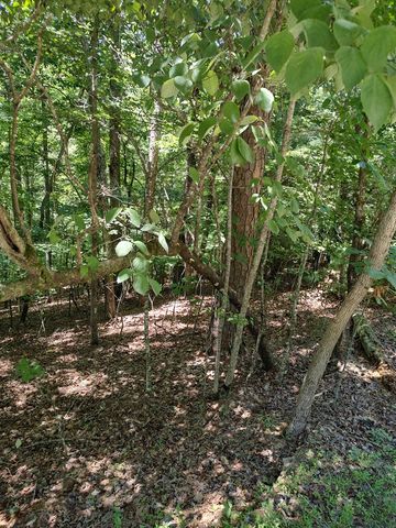 Lot 853 Matrix Lane, Ellijay, GA 30540